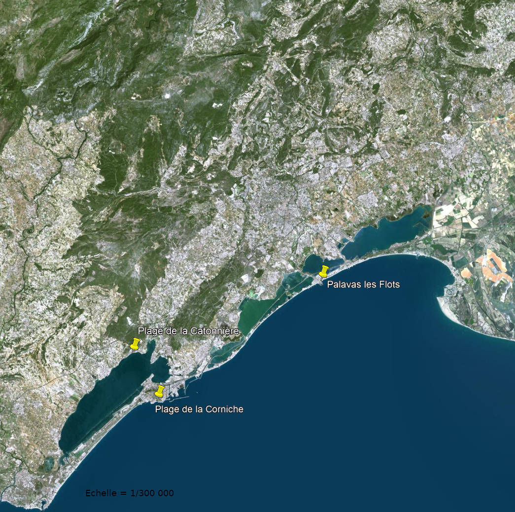 Arrondissement de Montpellier