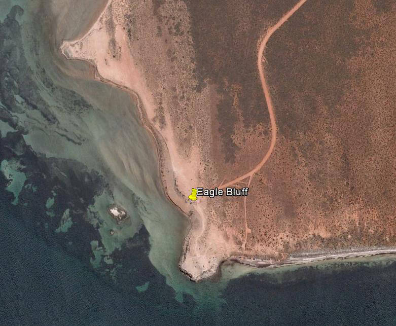Eagle Bluff