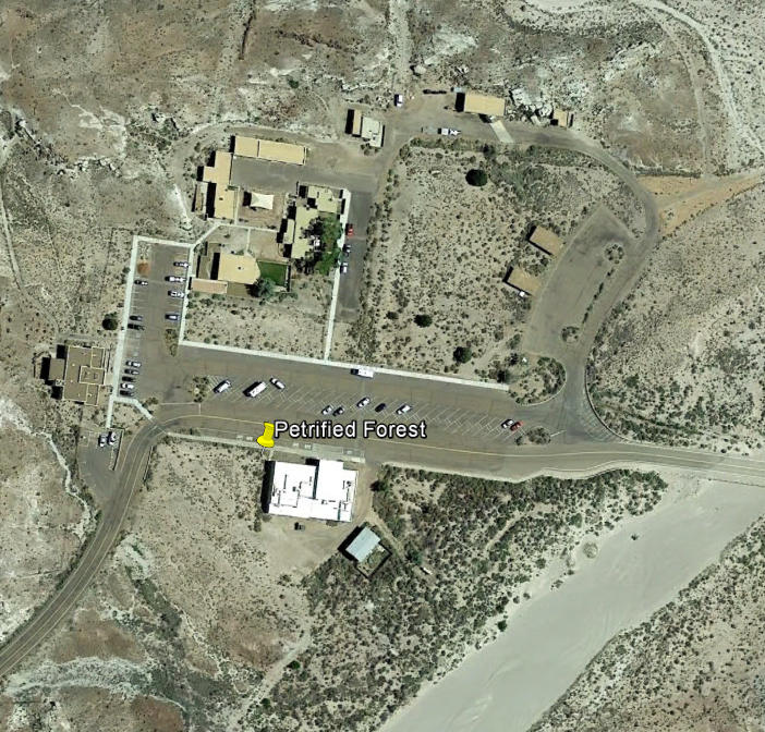 For�t p�trifi�e