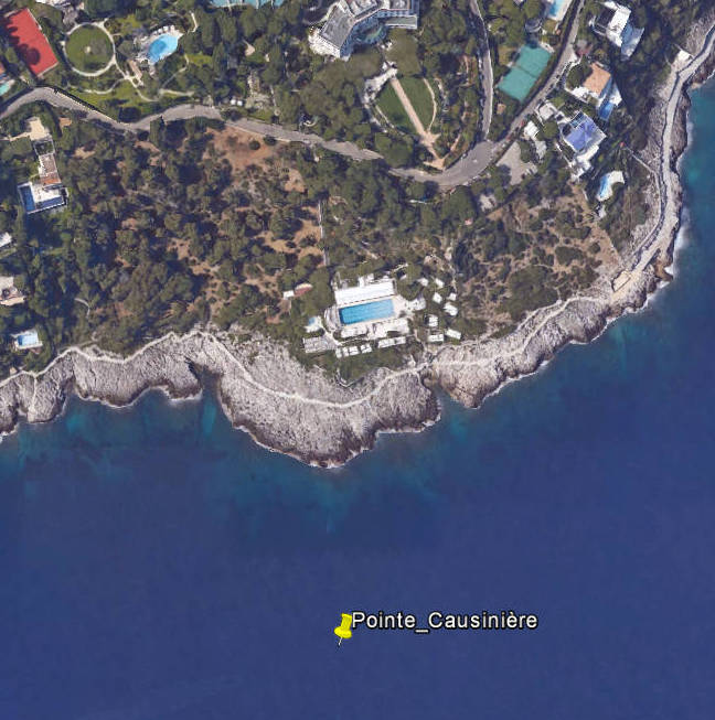 Pointe Causinire