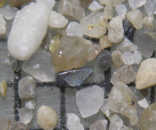 Sable 243 Promenade des Anglais