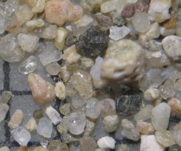 Berges de la Sane  Albigny-sur-Sane