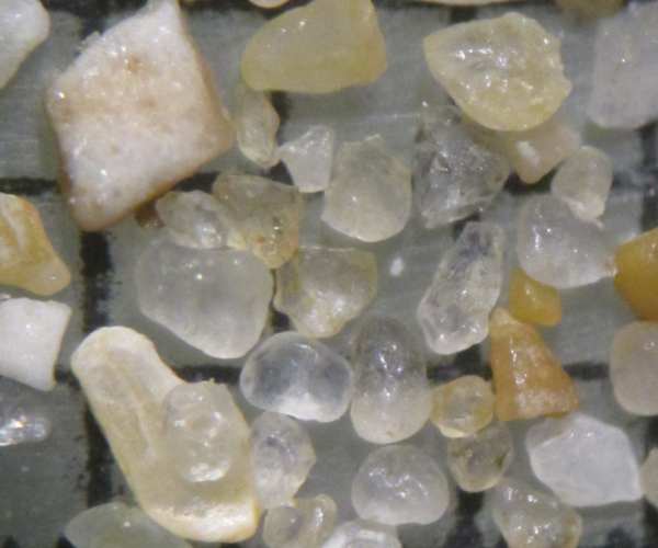 Plage de l'Arnrault. La Flotte. le de R