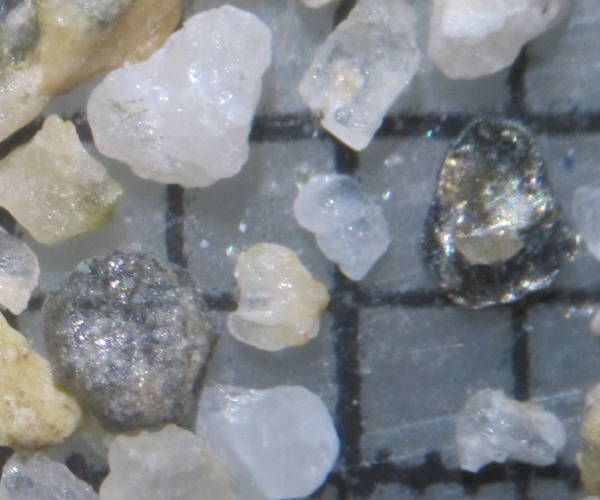 Plage de la Barceloneta