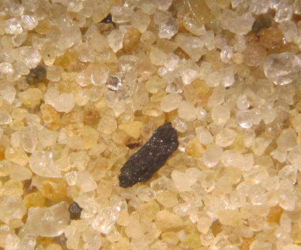 Castellammare del Golfo