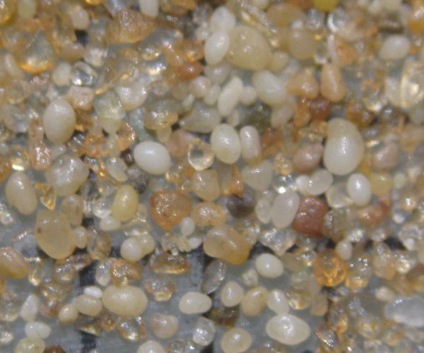 Desert Safari Park. Duba