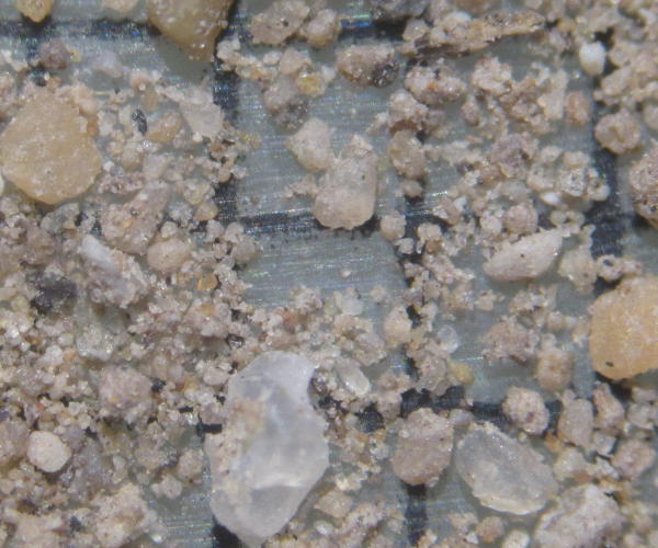 Parc de la For�t p�trifi�e