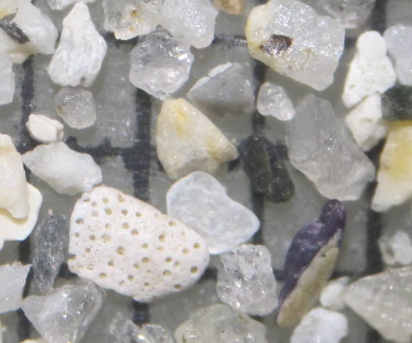 le Grande. Trbeurden