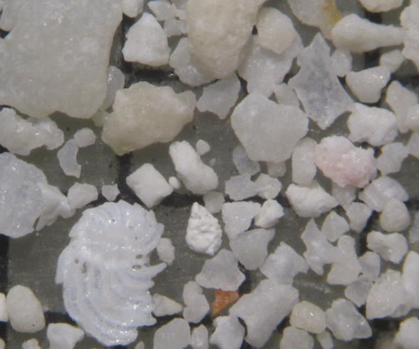 Plage du Mridien. le des Pins