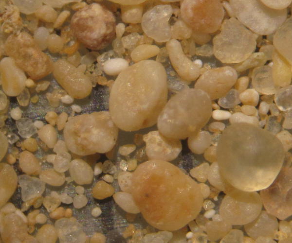 Entre Jalu et Benghazi