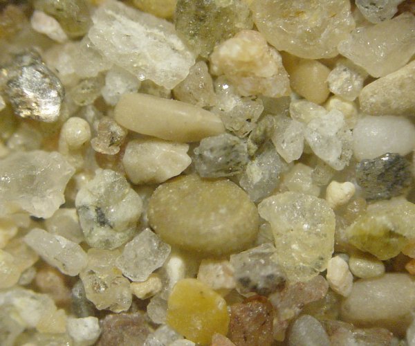 Plage de la Bocca  Cannes