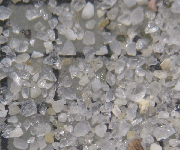 Sable de la plage de la Salis