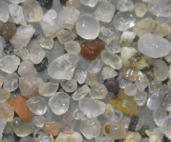 Sable du Colorado  Laughlin