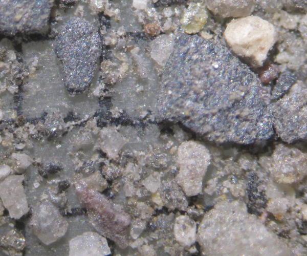 Rive de la Valloirette au Moulin Benjamin