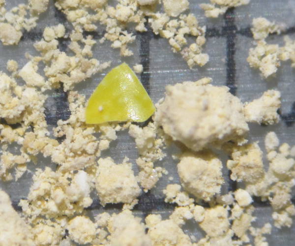 Sable du dsert du Nguev