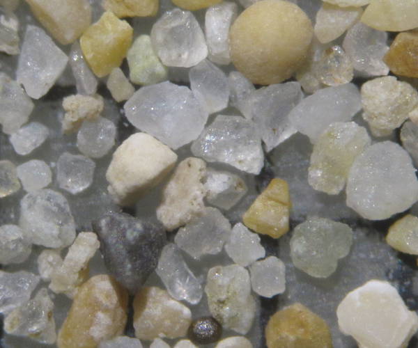 Rive du lac de Neuchtel