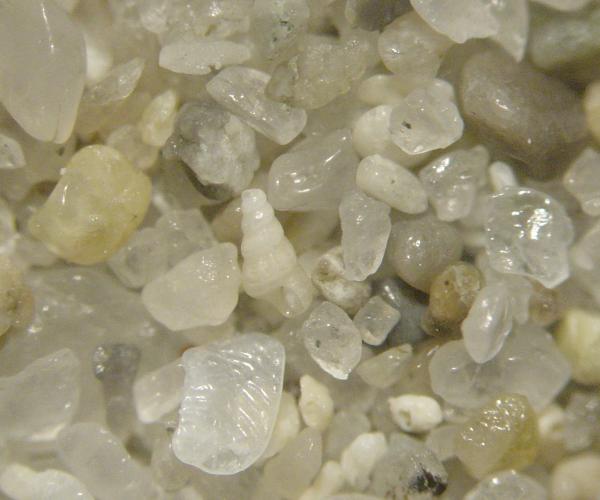 Plage de la Palombaggia