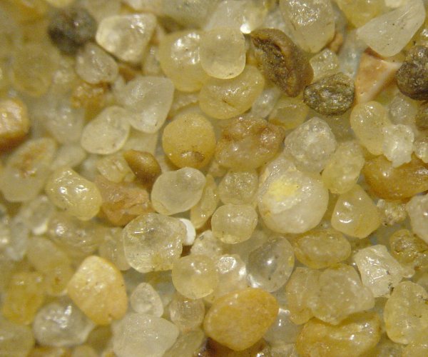 Pornic - Plage de l'�tang