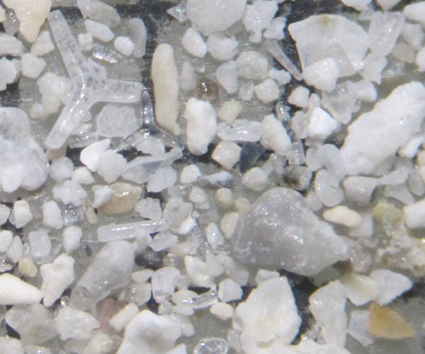 Sable de Point Moore