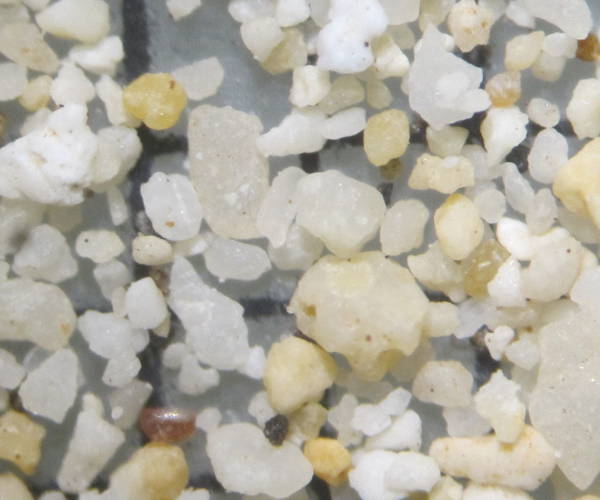 Pointe aux Canonniers