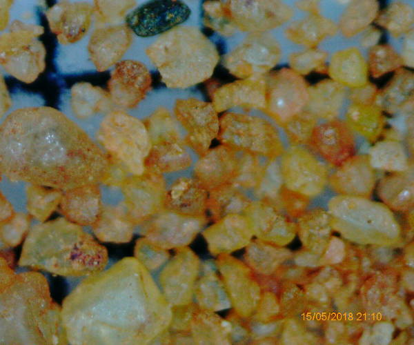 Sable du Colorado provenal