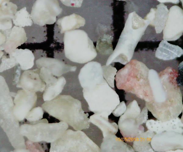 Plage de Sainte-Anne