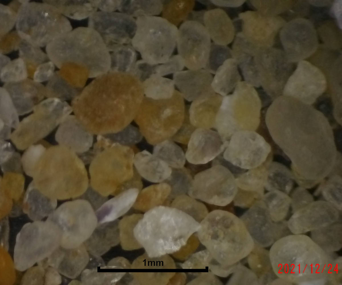 Plage des Saumonards