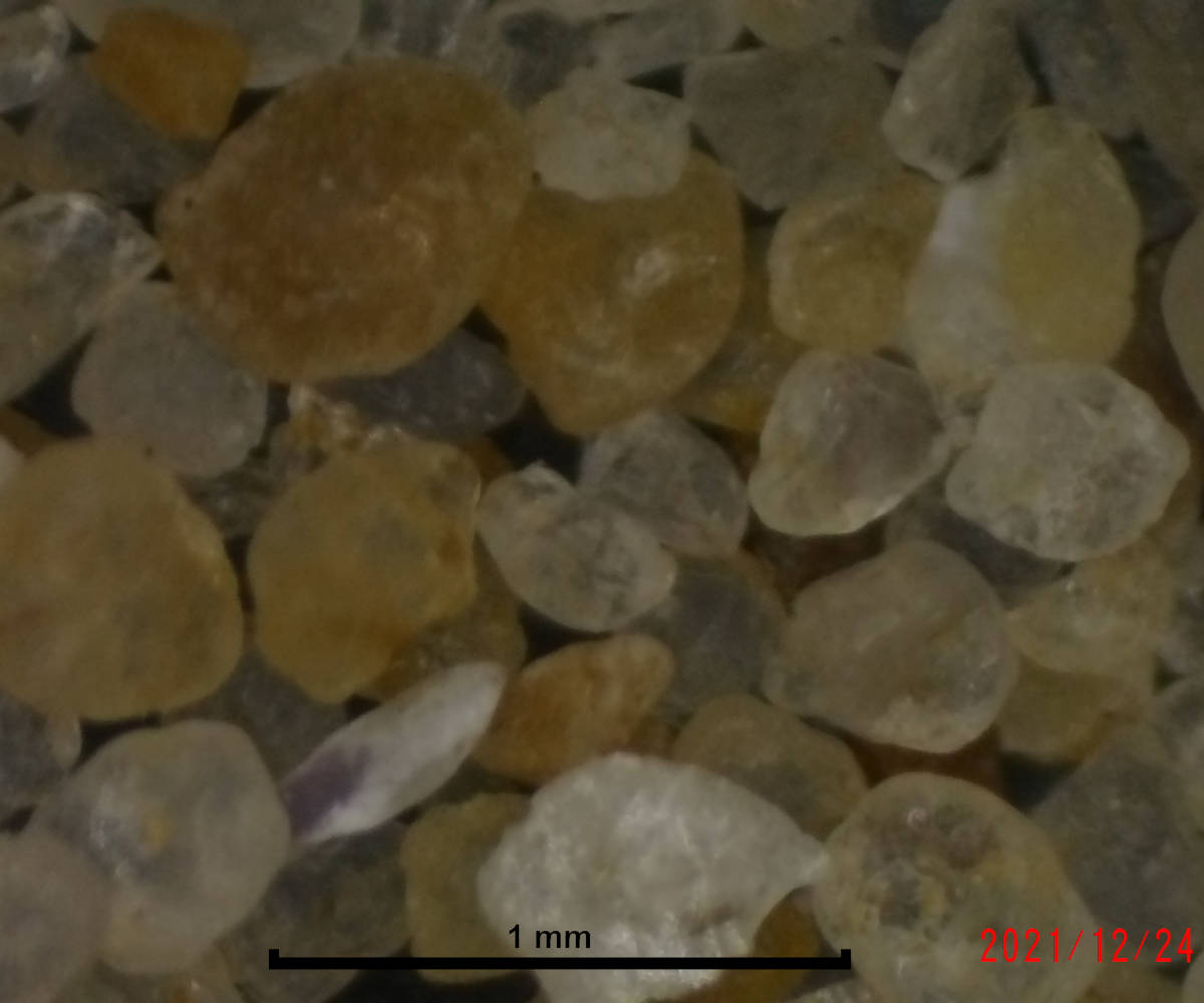 Plage des Saumonards