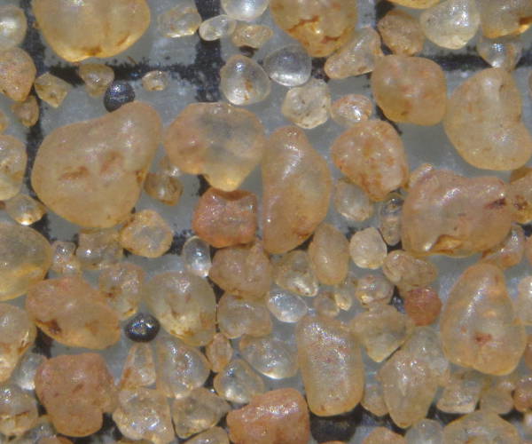 Sable de South Gregories