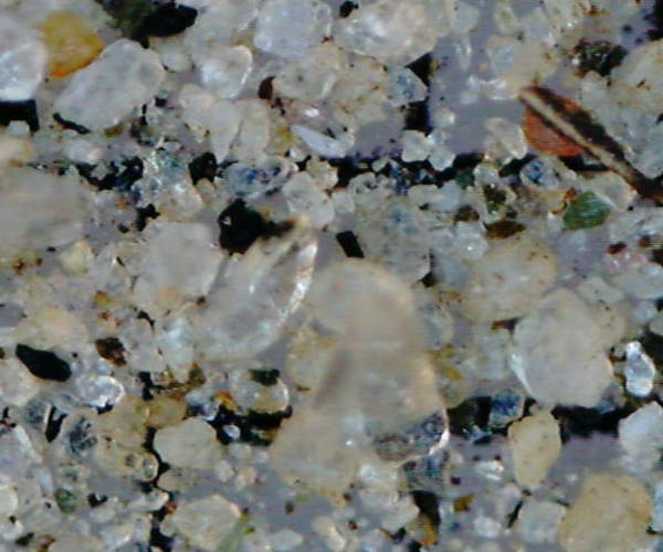 Rive du lac Svatisvatnet