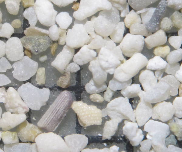 Sable de Brandywine Bay