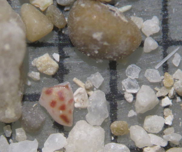 Sable plage de la Voile bleue