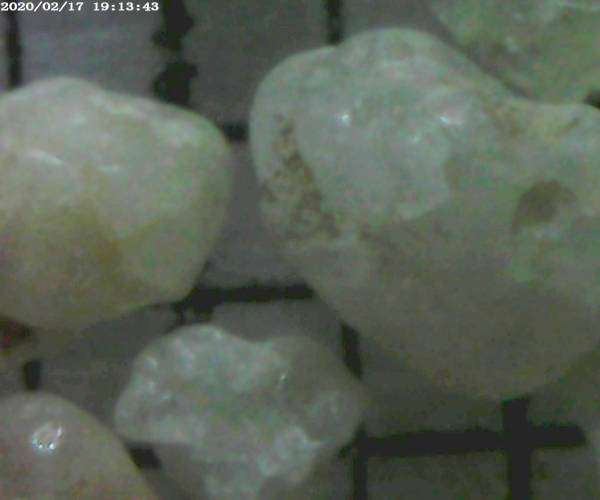 Plage des Brebis. La Turballe